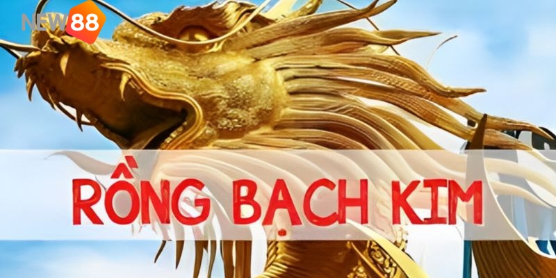 Ưu thế khi sử dụng link vào Rồng Bạch Kim chuẩn